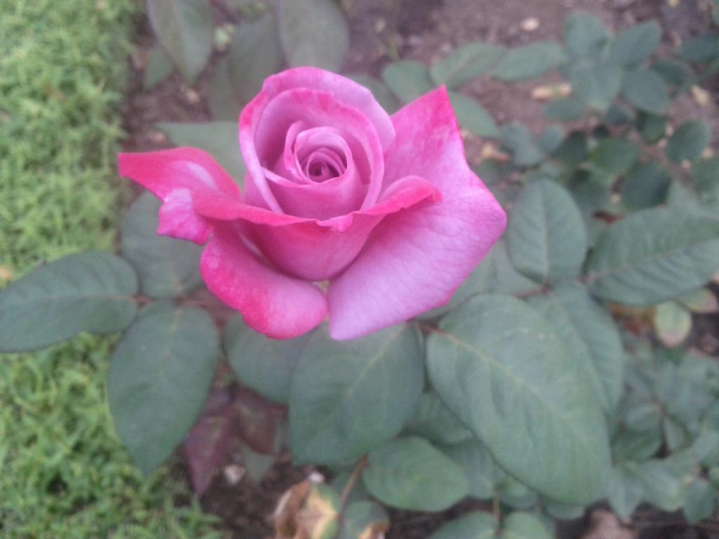 Jheelam Homestay Bhopal Buitenkant foto