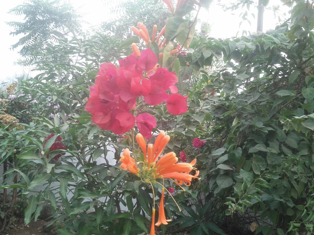 Jheelam Homestay Bhopal Buitenkant foto