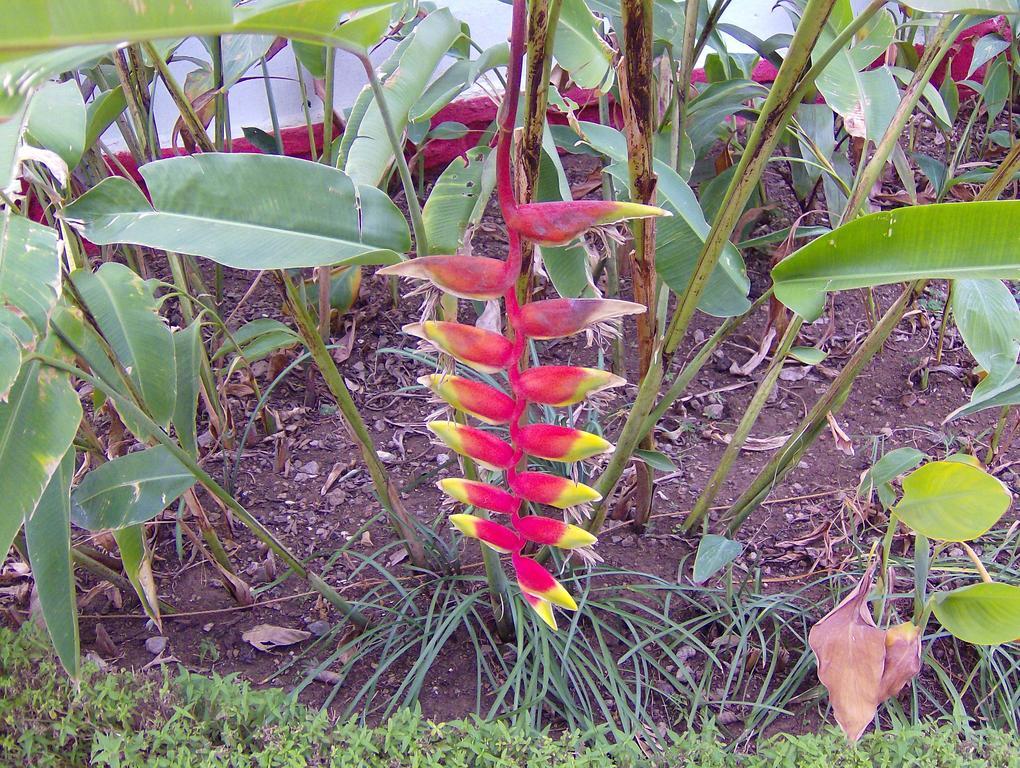 Jheelam Homestay Bhopal Buitenkant foto