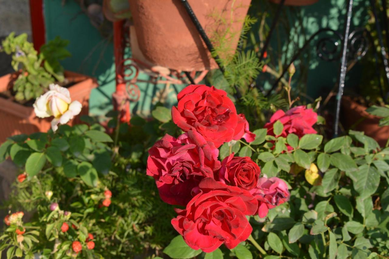 Jheelam Homestay Bhopal Buitenkant foto